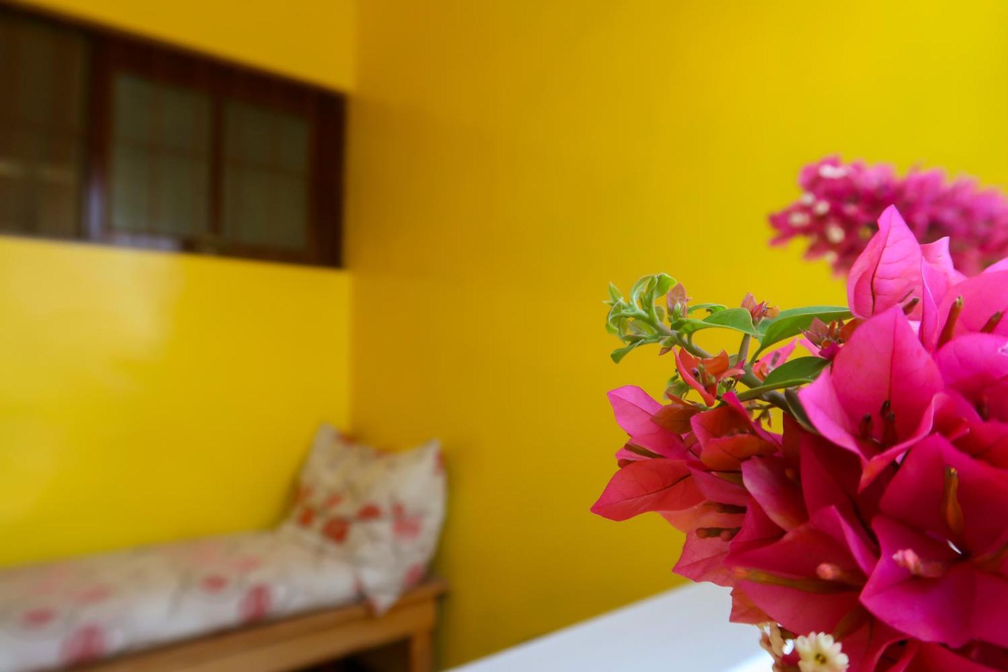 Bed and Breakfast O Jardim Do Vinho, Ac Praia Esterno foto